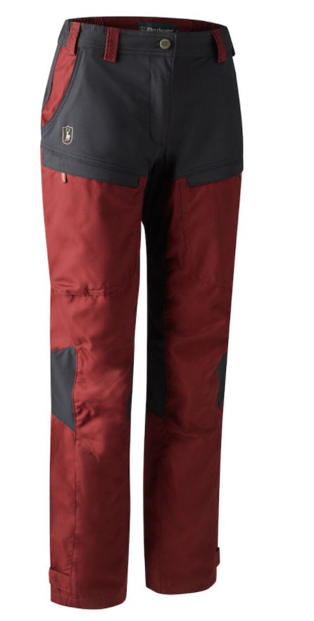 Lady Ann Hose