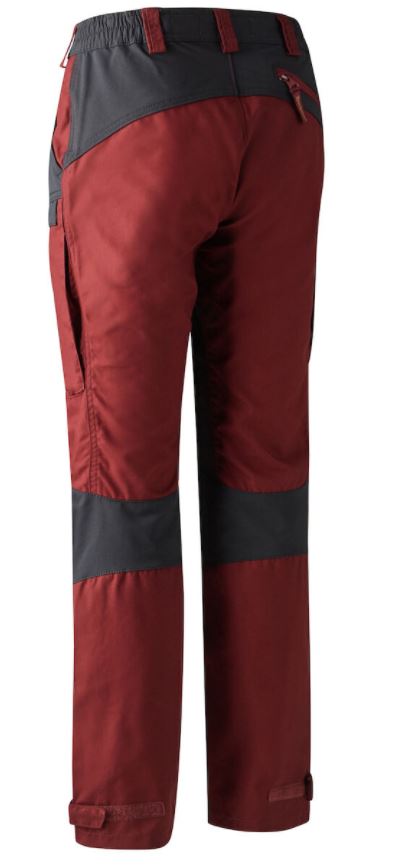 Lady Ann Hose