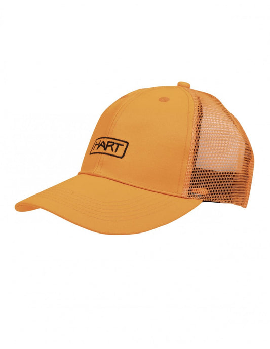 MESH-C - Cap